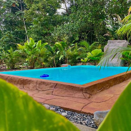 Iki Volcan Arenal With Jacuzzy La Fortuna 外观 照片